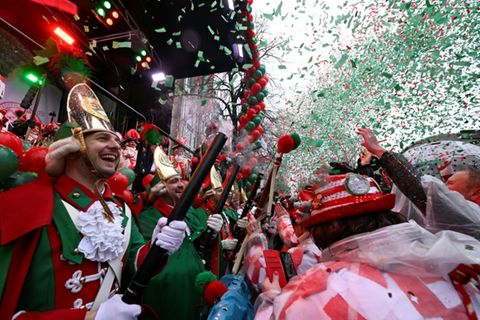 Weiberfastnacht in Köln: Frau gibt Hund Wodka zu trinken - Behörden schreiten ein