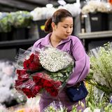 Sydney, Australien. Nicht nur alle Hände, sondern sogar alle Arme voll zu tun hat diese Blumenhändlerin. Der Valentinstag steht vor der Tür und da sind Blumen schließlich ein Klassiker, um seiner oder seinem Liebsten Zuneigung zu signalisieren.