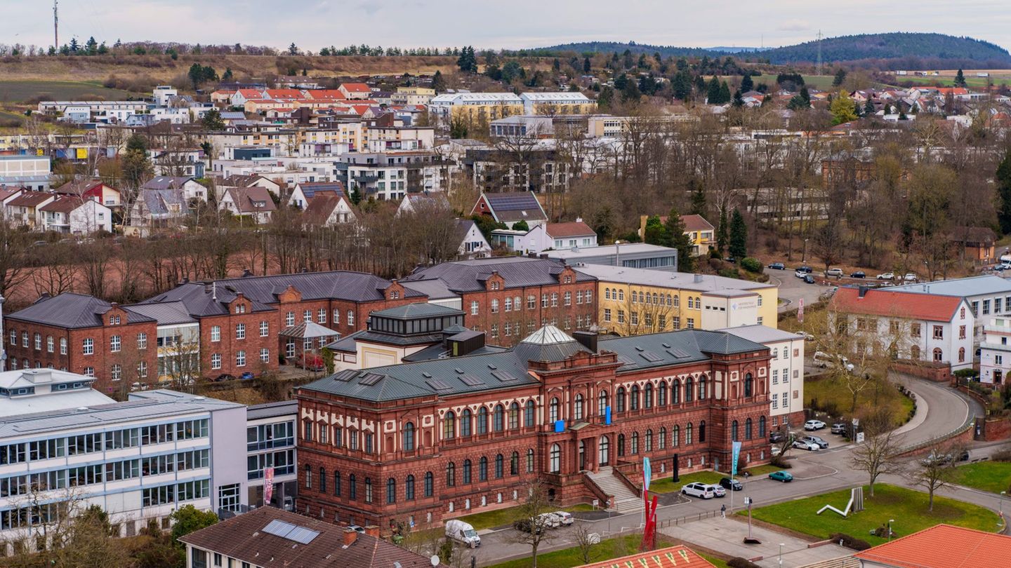 Die Sammlung des mpk umfasst rund 30.000 Werke. (Archivbild) Foto: Andreas Arnold/dpa