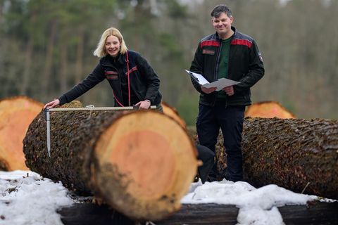 Ein Stamm einer Douglasie wird in Oerrel versteigert. Foto: Philipp Schulze/dpa