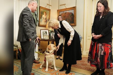 Königin Camilla verwöhnt Hund Freddy mit ausgiebigen Streicheleinheiten.
