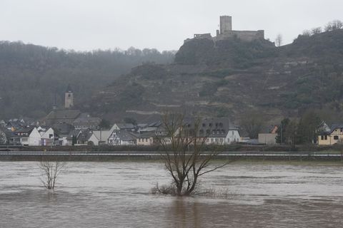 Über das Wochenende soll das Hochwasser an der Mosel zurückgehen Foto: Thomas Frey/dpa