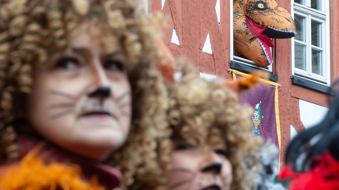 Der Faschingsumzug zieht am Samstag durch Wasungen in Südthüringen. (Archivbild) Foto: Michael Reichel/dpa