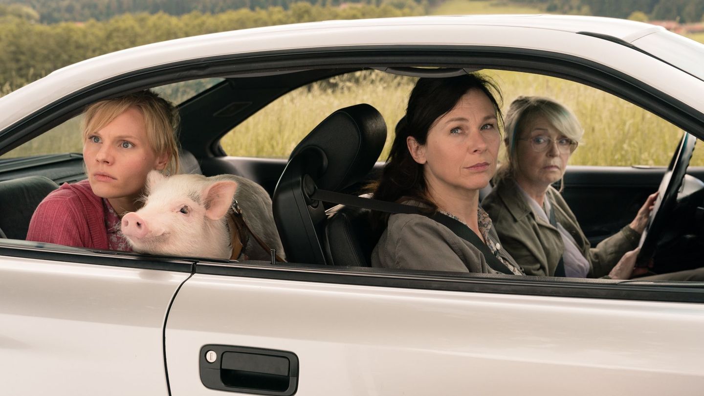Die "Highspeed Girls" gemeinsam mit Schweinchen Paul auf Achse, von links: Rosalie Thomass, Bettina Mittendorfer und Gisela Schneeberger.