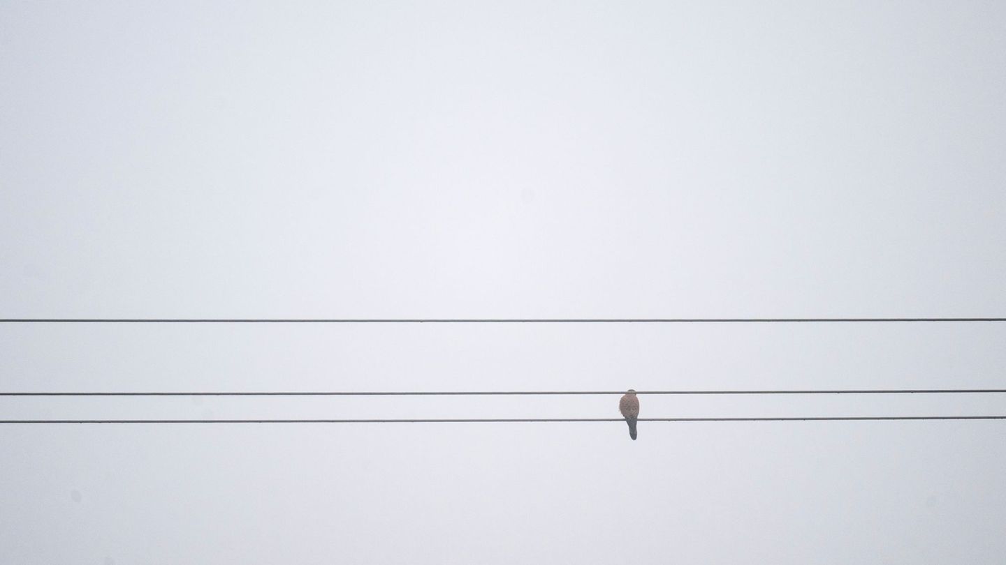 Faschingsendspurt: Von Gewitter bis Glätte – das Wetter in Bayern