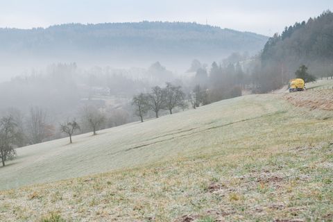 Es wird glatt und windig. Foto: Uwe Anspach/dpa