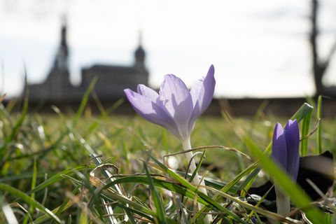 Der Sonntag hält in Sachsen einen sonnigen Nachmittag bereit. (Archivbild) Foto: Sebastian Kahnert/dpa