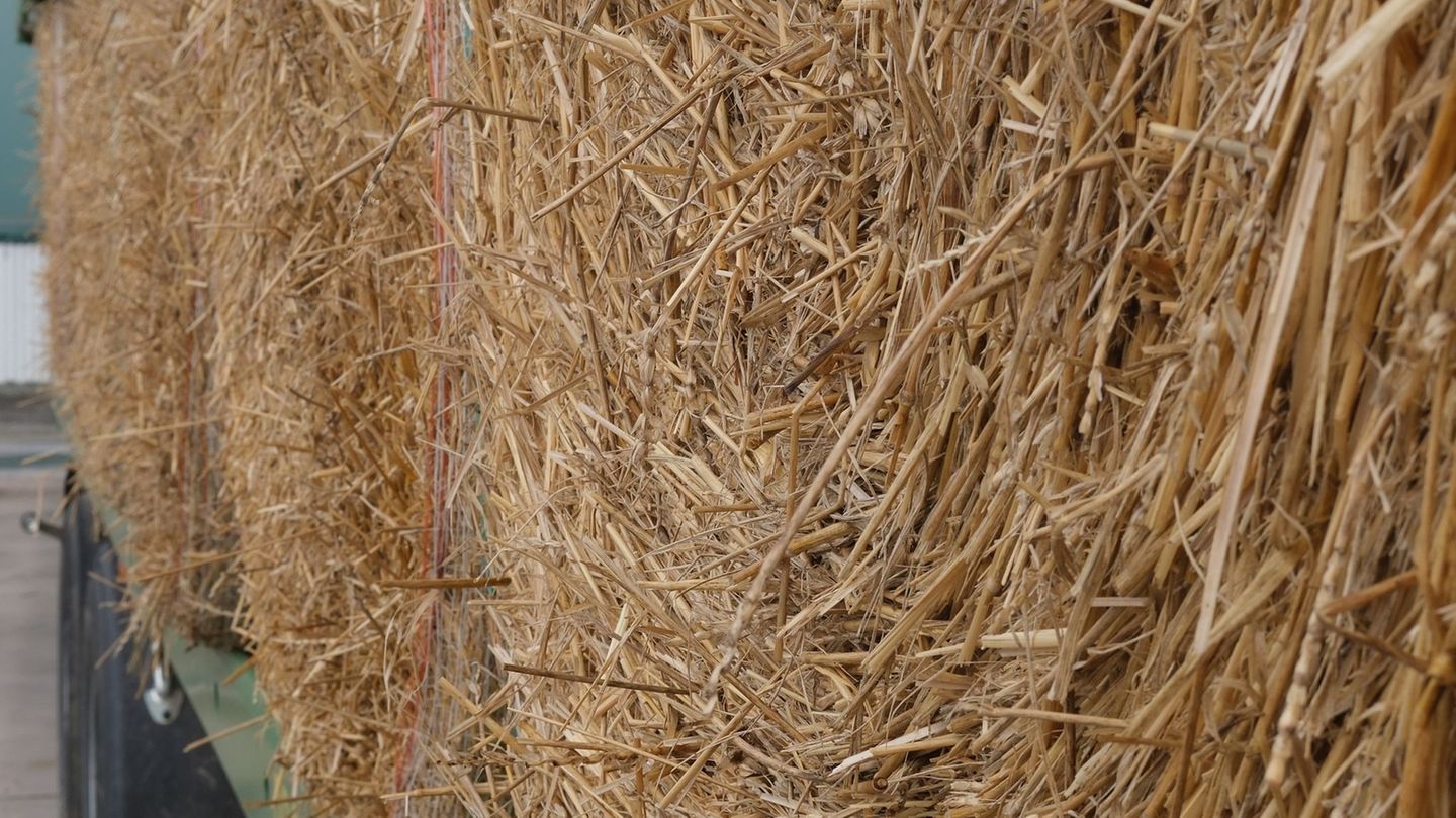 Ein großer Strohballen fiel auf den Mann, der in der Folge starb. (Symbolbild) Foto: Sebastian Willnow/dpa