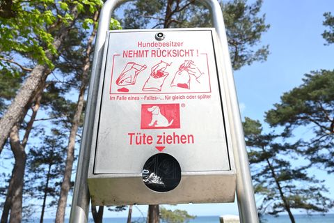 Hundekot kann die Quelle für die Übertragung von Krankheiten sein. (Symbolbild) Foto: Stefan Sauer/dpa