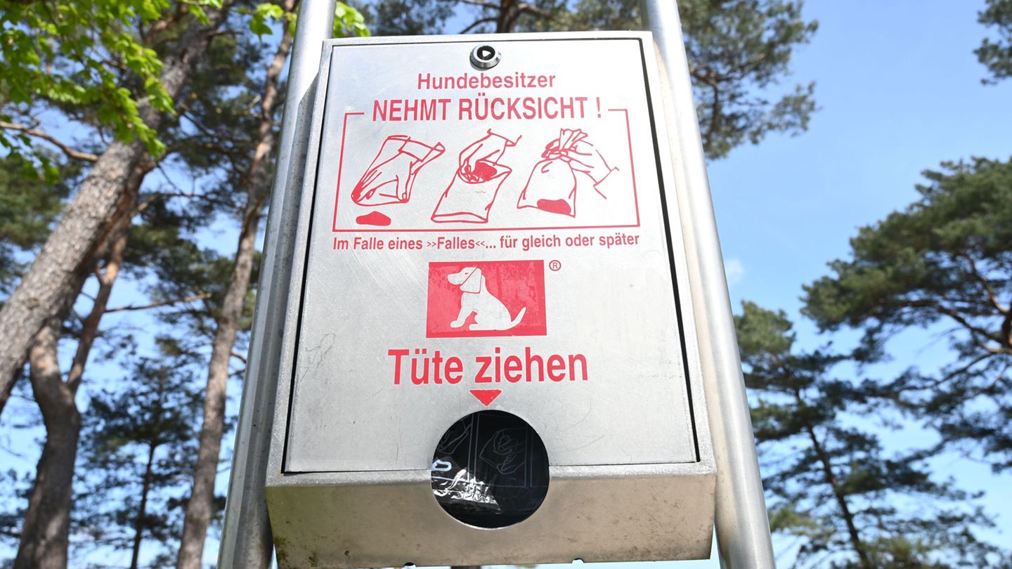 Kommunen und Sauberkeit: Mehr Bußgeld gegen mehr Dreck