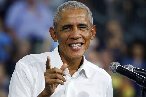 Barack Obama und seine Frau auf Affenkörpern