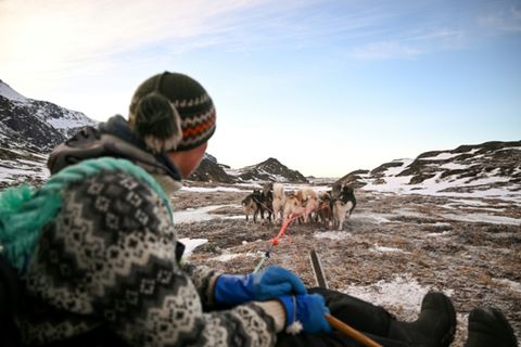 Hundeschlitten in Grönland