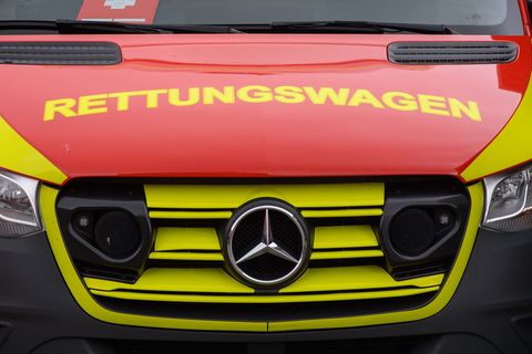 Ein einjähriges Mädchen wurde in Rostock in die Klinik gebracht, nachdem ein Hund dem Kind ins Gesicht gebissen hatte. (Symbolbi