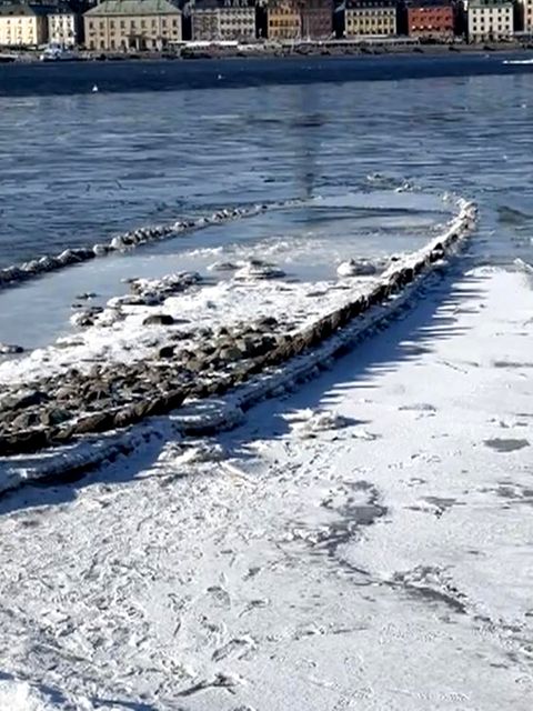 Historisches Ostsee-Niedrigwasser legt Schiffswrack frei