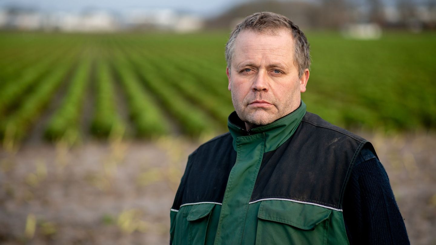 Der Schneefall hat die Grünkohlernte für Gottfried Gerken frühzeitig beendet. Foto: Hauke-Christian Dittrich/dpa