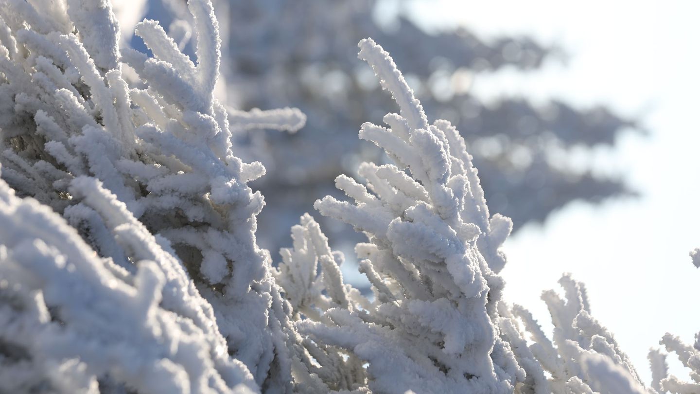 In Sachsen-Anhalt bleibt es auch in den nächsten Tagen frostig. Foto: Matthias Bein/dpa