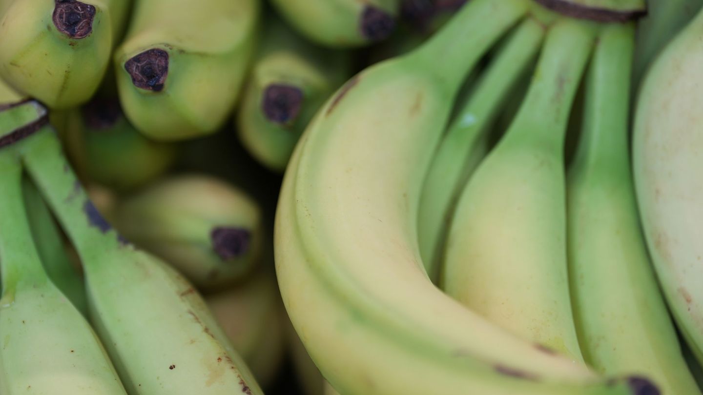 Preise für viele Lebensmittel haben im Januar angezogen. (Symbolbild) Foto: Marcus Brandt/dpa