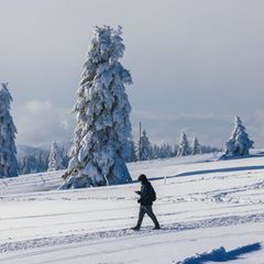 Laut der Bergwacht steigt die Gefahr für Lawinen. (Symbolbild) Foto: Philipp von Ditfurth/dpa