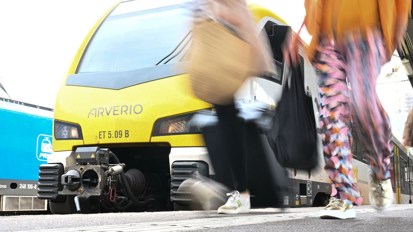 Am Anfang und Ende von Zügen ragen häufig Kupplungen heraus. Auf einer solchen Kupplung fuhr in Südbaden ein Jugendlicher mit. (