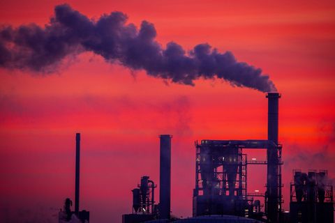 Die Stimmung in der Wirtschaft Mecklenburg-Vorpommerns ist verhalten. (Symbolbild) Foto: Jens Büttner/dpa