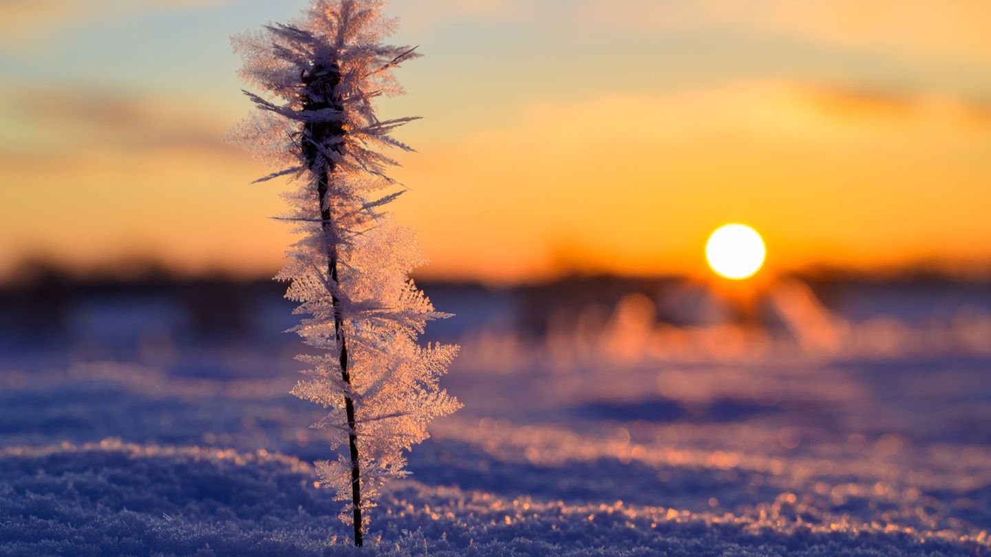 Wetter: Kälte in Berlin und Brandenburg
