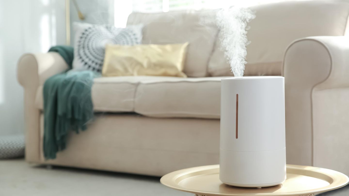 Trockene Luft: Sind Luftbefeuchter für Heizungen die beste Lösung fürs Raumklima?