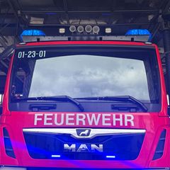 In Leipzig ist ein Hund bei einem Wohnungsbrand ums Leben gekommen. (Symbolbild) Foto: Sabina Crisan/dpa