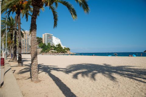 Spaniens Oberster Gerichtshof hat eine lange Haftstrafe wegen Todes eines Deutschen auf Mallorca bestätigt