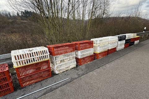Rund 200 Kisten mit Hühnern fielen auf der A480 von einem Transporter, einige liefen auch über die Straße. Foto: Mike Seeboth/dp