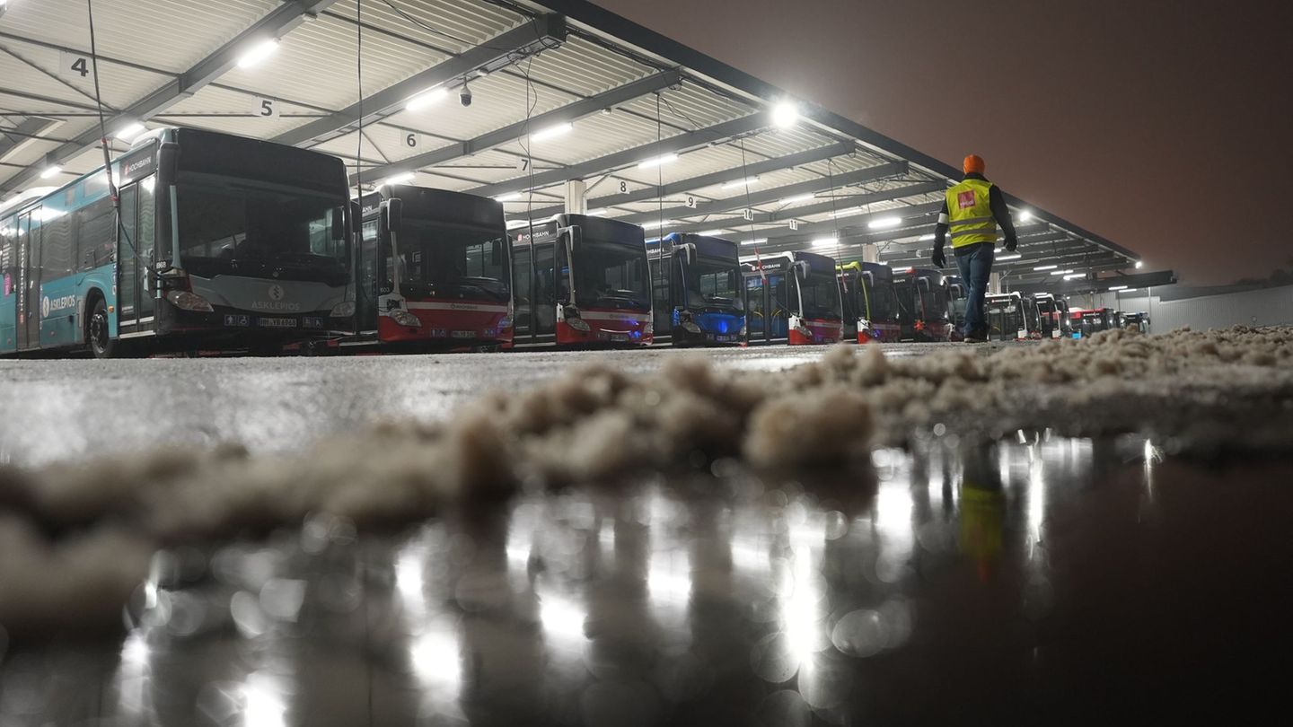 Vom Warnstreik betroffen sind nach Angaben der Hochbahn voraussichtlich 30 der 112 Buslinien. (Archivbild) Foto: Marcus Brandt/d