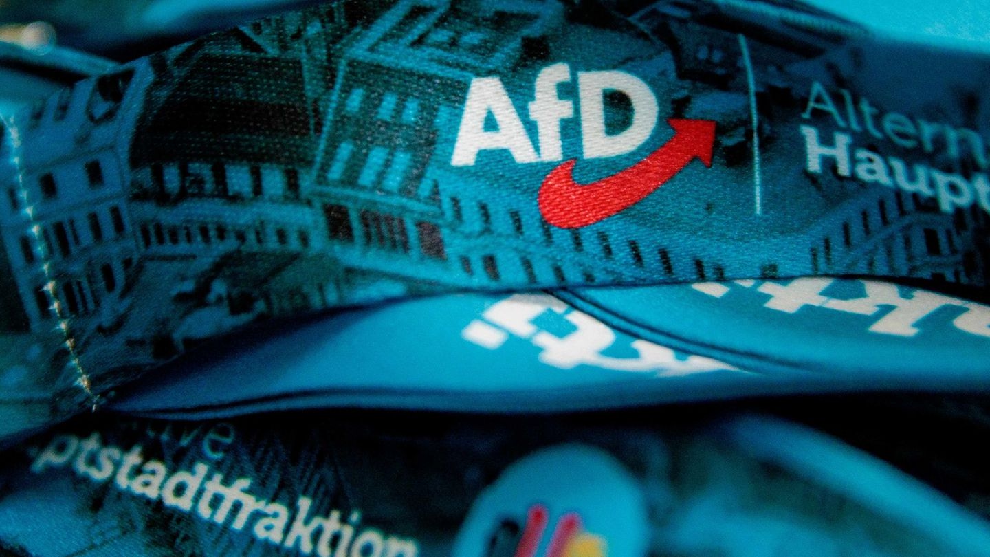 Die AfD hofft bei der Wahl zum Berliner Abgeordnetenhaus am 20. September auf Zugewinne. (Symbolbild) Foto: Carsten Koall/dpa