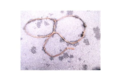 Mit diesem Paketband gefesselt waren Teile einer weiblichen, unbekannten Leiche gefunden worden - 25 Jahre später hofft die Poli