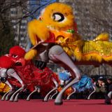 An anderer Stelle werden die Traditionen in die Gegenwart geholt: Hier treten vierbeinige Roboter mit einem Löwenkopf während des zweiten Tages des Mondneujahrsfestes auf einem Tempelmarkt auf.