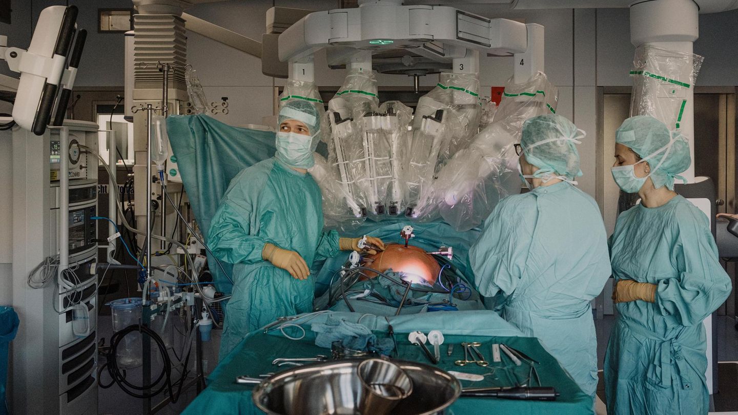 Leber-Therapie: Wie Mediziner aus Leipzig unser zentrales Organ retten