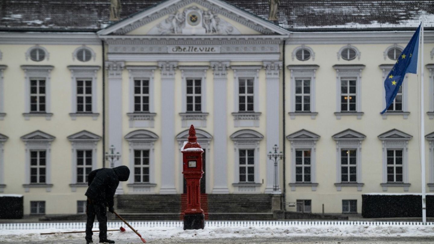 Bundespräsident: SPD und Grüne offen für Nicht-Politiker - Wahltermin steht offenbar