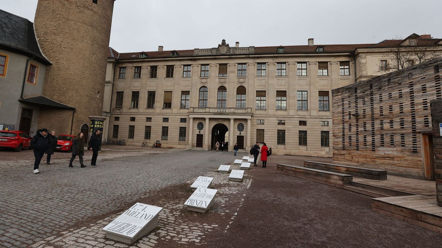 Die Polizei sucht nach den Tätern. (Archivbild) Foto: Bodo Schackow/dpa