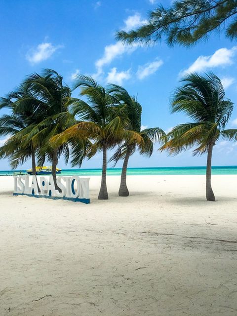 Laut Tripadvisor aktuell der schönste Strand der Welt: Isla Pasion in Cozumel, Cancun, Mexiko