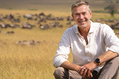 Dirk Steffens ist jetzt auch für die ARD im Einsatz.