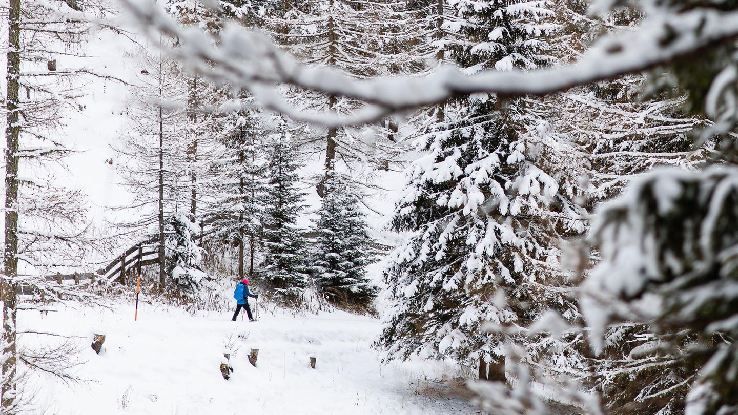 Das tragische Unglück ereignete sich am Großglockner, dem höchsten Berg Österreichs (Symbolbild)