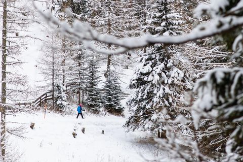 Dem Angeklagten tut das Geschehen nach eigenen Worten zutiefst leid, doch er sieht sich als unschuldig. Foto: Expa/Erich Spiess/