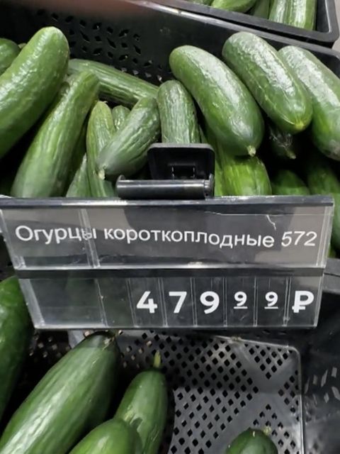 Gurken in einem russischen Supermarkt.