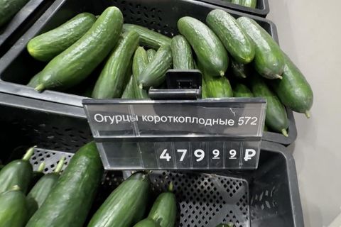 Gurken in einem russischen Supermarkt.