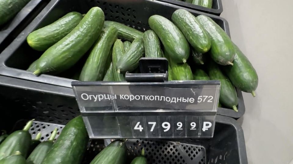 Gurken in einem russischen Supermarkt.