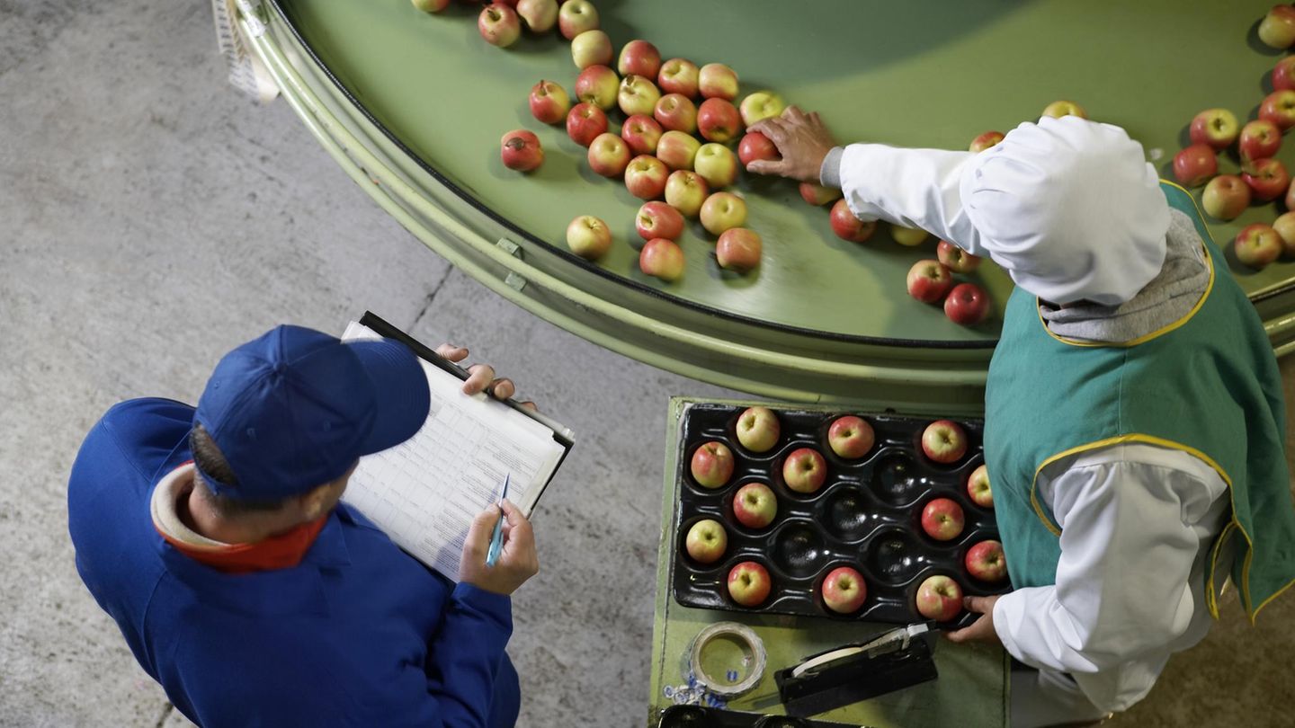 Hier finden Sie die innovativsten Mittelständler Deutschlands