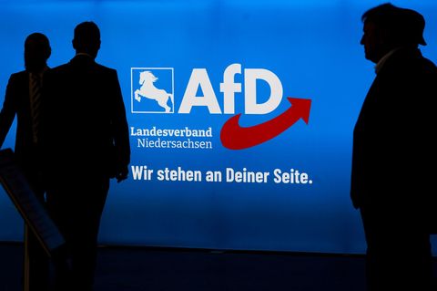 Das Logo des AfD-Landesverbands Niedersachsen
