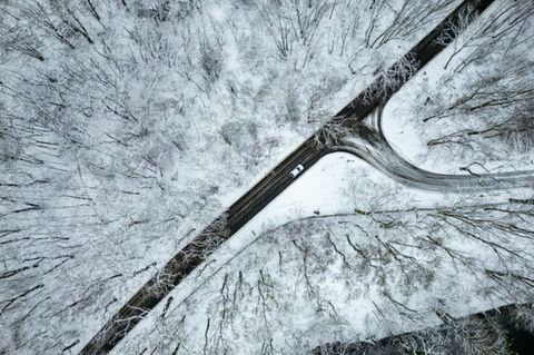 Straße durch verschneiten Wald