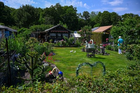 In Berlin gibt es mehr als 70.000 Kleingärten. (Archiv) Foto: Jens Kalaene/dpa