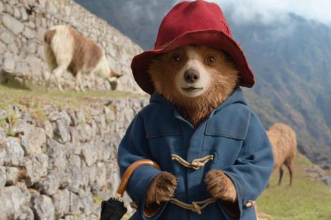 In "Paddington in Peru" (2024) kehrt der legendäre Kino-Bär nach Peru zurück, weil dort seine Tante Lucy vermisst wird.