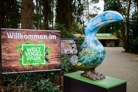 Nach dem Ausbruch der Geflügelpest bleibt der Vogelpark Walsrode vorübergehend geschlossen. (Archiv) Foto: Philipp Schulze/dpa