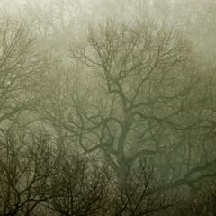 Umweltverbände sorgen sich angesichts vieler Bauprojekte um die biologische Vielfalt in Leipzig (Archivbild). Foto: Jan Woitas/d